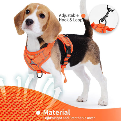 No Pull Dog Harness with Leash Set for Small Sized Dog, Reflective Adjustable No Choke Front Clip Cat Vest Harness with Breathable Mesh, Comfortable Soft Padded Pet Vest, Orange L