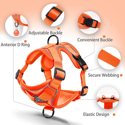 No Pull Dog Harness with Leash Set for Small Sized Dog, Reflective Adjustable No Choke Front Clip Cat Vest Harness with Breathable Mesh, Comfortable Soft Padded Pet Vest, Orange L
