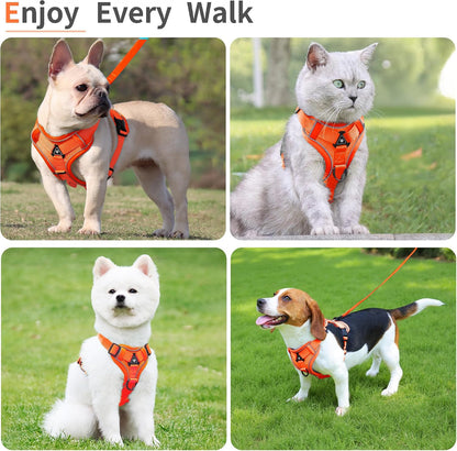 No Pull Dog Harness with Leash Set for Small Sized Dog, Reflective Adjustable No Choke Front Clip Cat Vest Harness with Breathable Mesh, Comfortable Soft Padded Pet Vest, Orange L