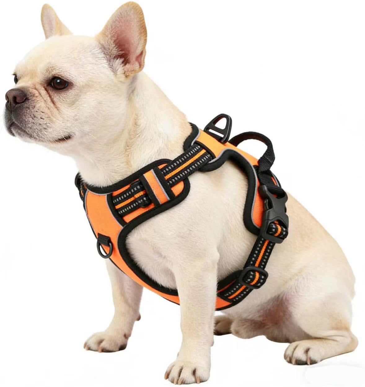 Orange No-Pull Dog Harness with 2 Leash Clips，Soft Padded Vest for Medium Dog, Adjustable Reflective Dog Vest Easy to Put on and Take Off, (Neck: 14"~20", Chest: 21"~27", Orange M)