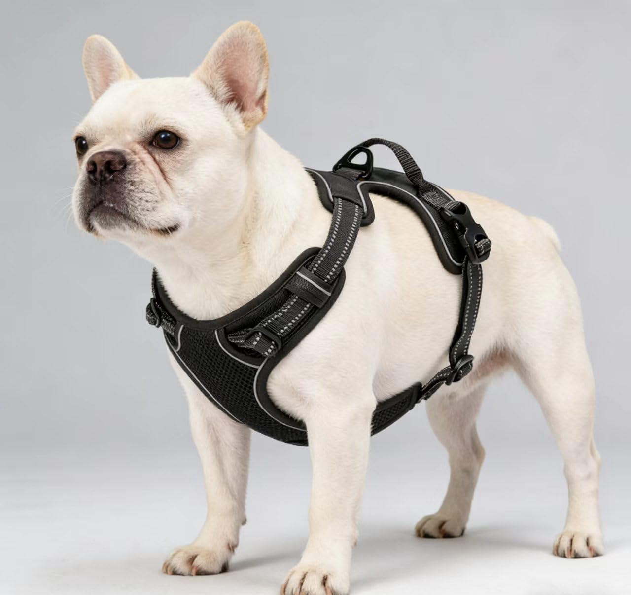 Orange No-Pull Dog Harness with 2 Leash Clips，Soft Padded Vest for Medium Dog, Adjustable Reflective Dog Vest Easy to Put on and Take Off, (Neck: 14"~20", Chest: 21"~27", Orange M)