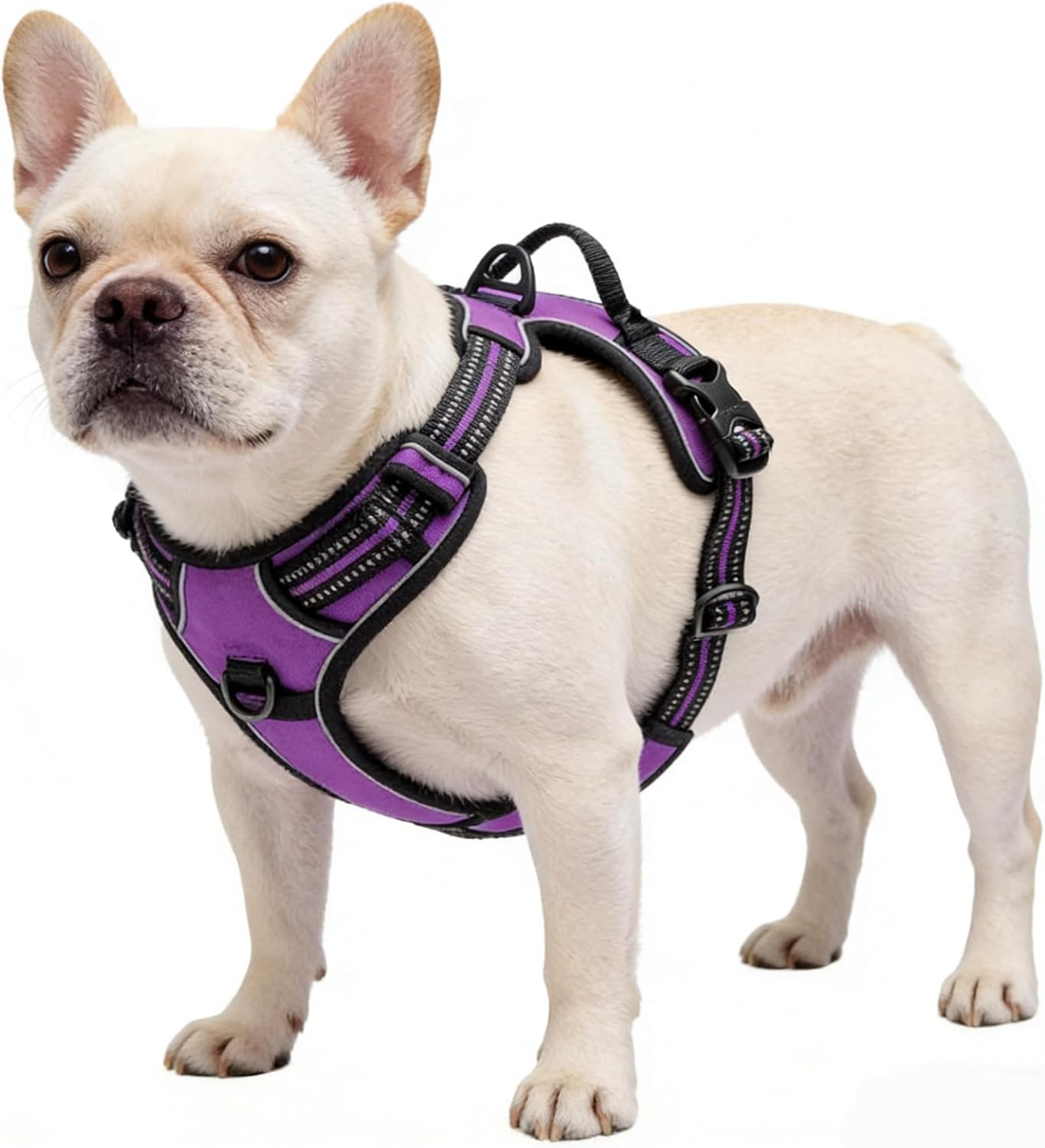 Orange No-Pull Dog Harness with 2 Leash Clips，Soft Padded Vest for Medium Dog, Adjustable Reflective Dog Vest Easy to Put on and Take Off, (Neck: 14"~20", Chest: 21"~27", Orange M)