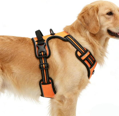 Orange No-Pull Dog Harness with 2 Leash Clips，Soft Padded Vest for Medium Dog, Adjustable Reflective Dog Vest Easy to Put on and Take Off, (Neck: 14"~20", Chest: 21"~27", Orange M)