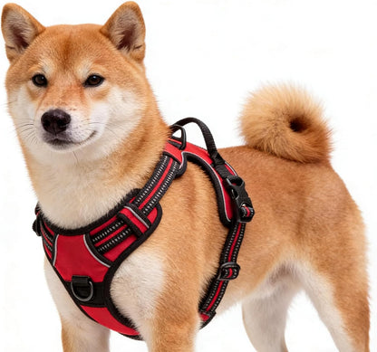 Orange No-Pull Dog Harness with 2 Leash Clips，Soft Padded Vest for Medium Dog, Adjustable Reflective Dog Vest Easy to Put on and Take Off, (Neck: 14"~20", Chest: 21"~27", Orange M)