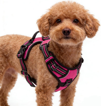 Orange No-Pull Dog Harness with 2 Leash Clips，Soft Padded Vest for Medium Dog, Adjustable Reflective Dog Vest Easy to Put on and Take Off, (Neck: 14"~20", Chest: 21"~27", Orange M)