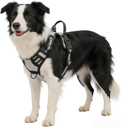 Orange No-Pull Dog Harness with 2 Leash Clips，Soft Padded Vest for Medium Dog, Adjustable Reflective Dog Vest Easy to Put on and Take Off, (Neck: 14"~20", Chest: 21"~27", Orange M)
