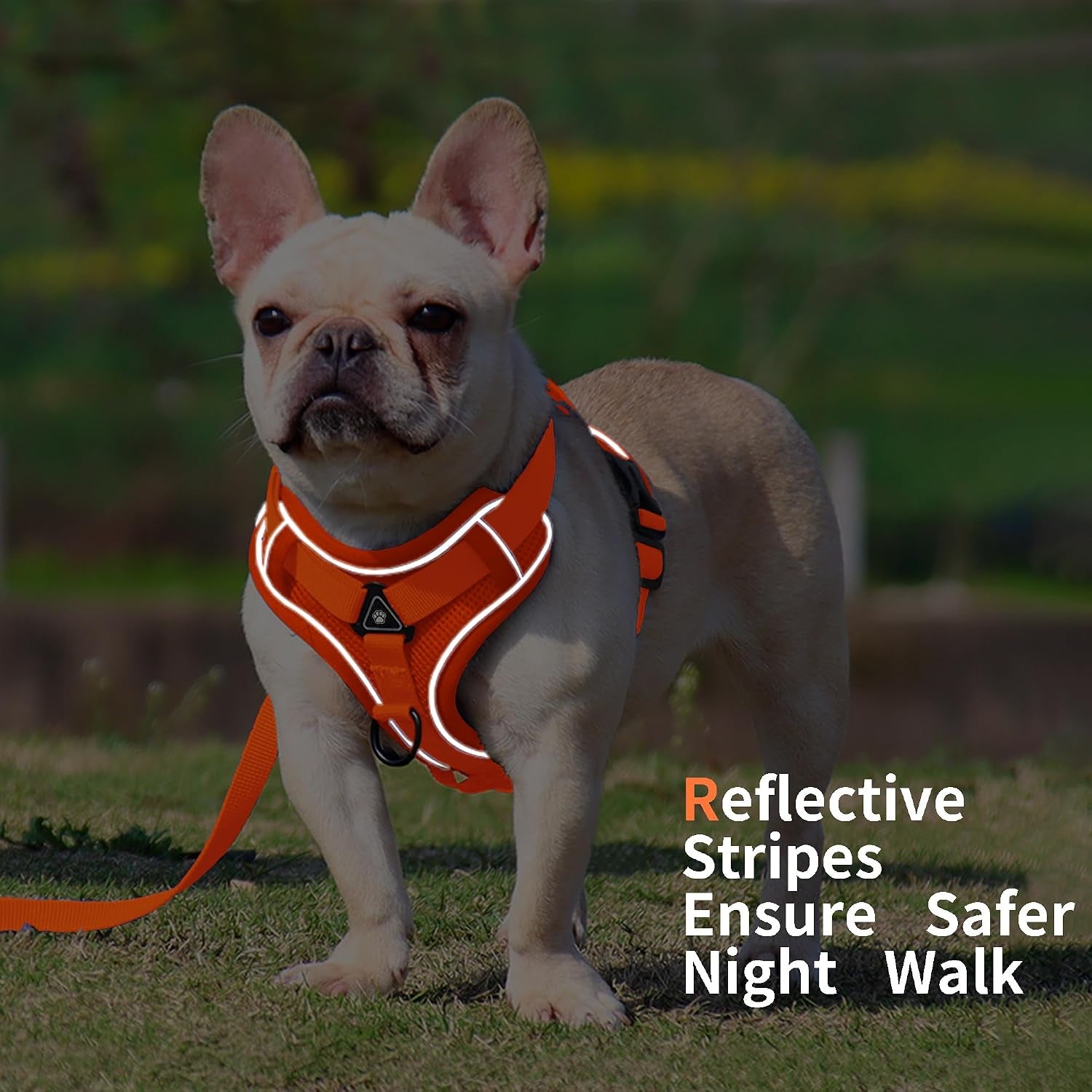 No Pull Dog Harness with Leash Set for Small Sized Dog, Reflective Adjustable No Choke Front Clip Cat Vest Harness with Breathable Mesh, Comfortable Soft Padded Pet Vest, Orange L