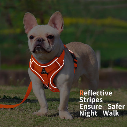 No Pull Dog Harness with Leash Set for Small Sized Dog, Reflective Adjustable No Choke Front Clip Cat Vest Harness with Breathable Mesh, Comfortable Soft Padded Pet Vest, Orange L