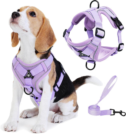 No Pull Dog Harness with Leash Set for Small Sized Dog, Reflective Adjustable No Choke Front Clip Cat Vest Harness with Breathable Mesh, Comfortable Soft Padded Pet Vest, Orange L
