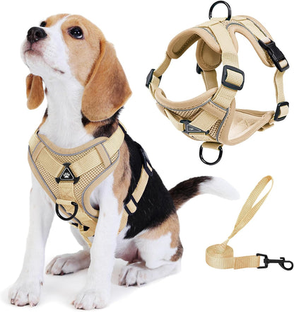 No Pull Dog Harness with Leash Set for Small Sized Dog, Reflective Adjustable No Choke Front Clip Cat Vest Harness with Breathable Mesh, Comfortable Soft Padded Pet Vest, Orange L