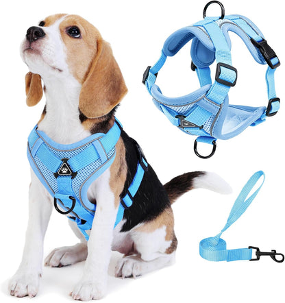 No Pull Dog Harness with Leash Set for Small Sized Dog, Reflective Adjustable No Choke Front Clip Cat Vest Harness with Breathable Mesh, Comfortable Soft Padded Pet Vest, Orange L
