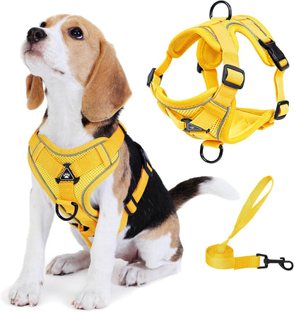 No Pull Dog Harness with Leash Set for Small Sized Dog, Reflective Adjustable No Choke Front Clip Cat Vest Harness with Breathable Mesh, Comfortable Soft Padded Pet Vest, Orange L