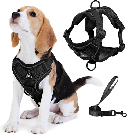 No Pull Dog Harness with Leash Set for Small Sized Dog, Reflective Adjustable No Choke Front Clip Cat Vest Harness with Breathable Mesh, Comfortable Soft Padded Pet Vest, Orange L