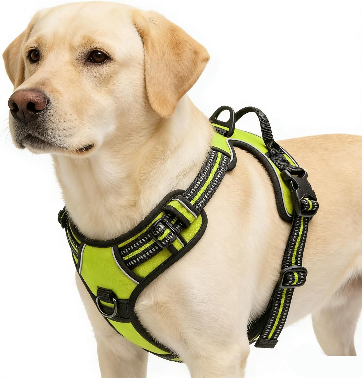 Orange No-Pull Dog Harness with 2 Leash Clips，Soft Padded Vest for Medium Dog, Adjustable Reflective Dog Vest Easy to Put on and Take Off, (Neck: 14"~20", Chest: 21"~27", Orange M)