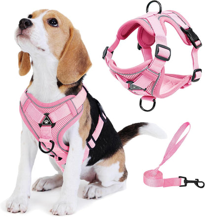 No Pull Dog Harness with Leash Set for Small Sized Dog, Reflective Adjustable No Choke Front Clip Cat Vest Harness with Breathable Mesh, Comfortable Soft Padded Pet Vest, Orange L