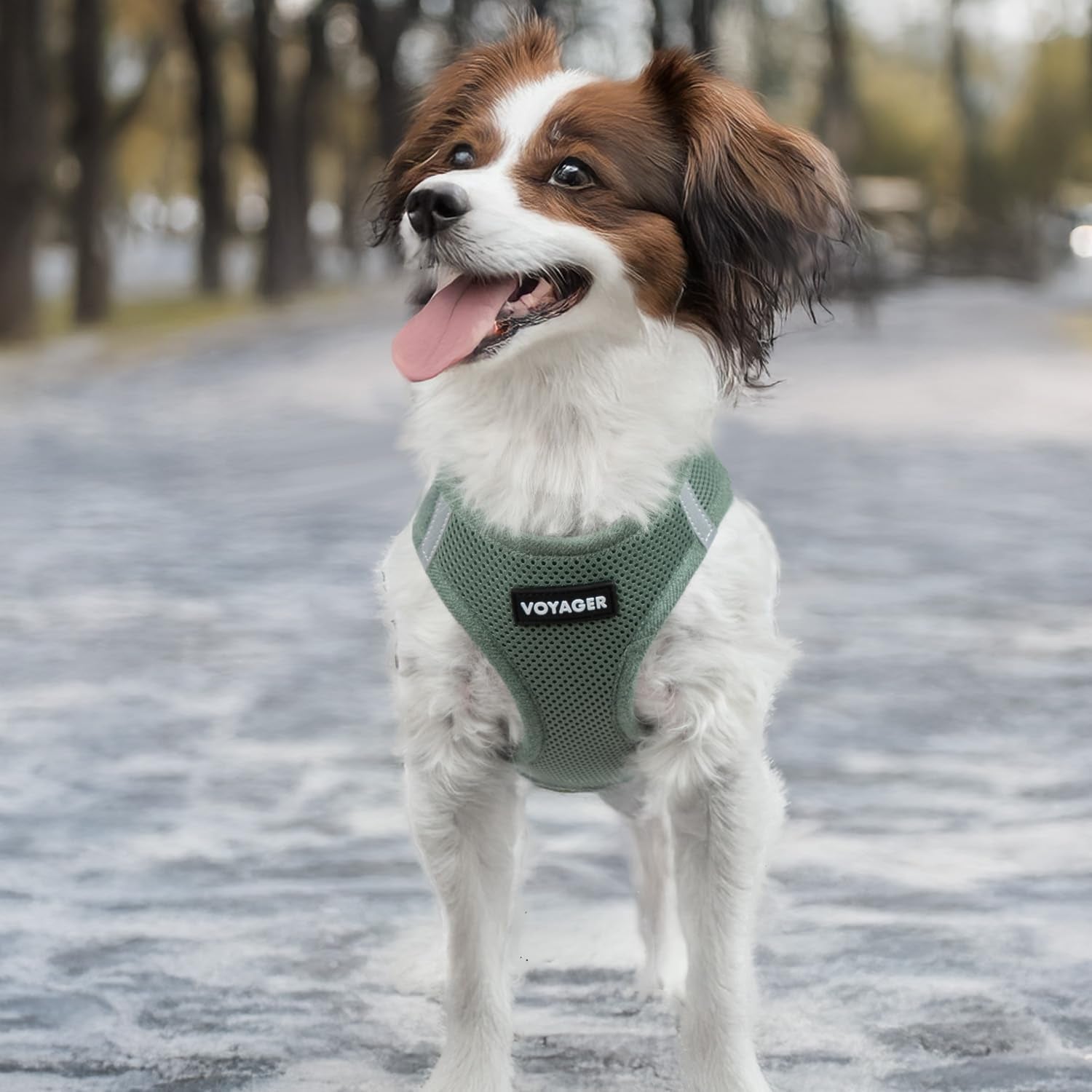 Voyager Step-In Air Harness - All Weather Mesh, Reflective, No Pull Harness for Dogs, Cats - Secure with Hook & Loop Fastener, Buckle, Double D-Rings - Moss Green, S