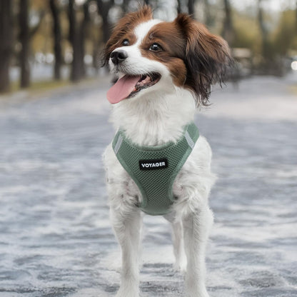 Voyager Step-In Air Harness - All Weather Mesh, Reflective, No Pull Harness for Dogs, Cats - Secure with Hook & Loop Fastener, Buckle, Double D-Rings - Moss Green, S