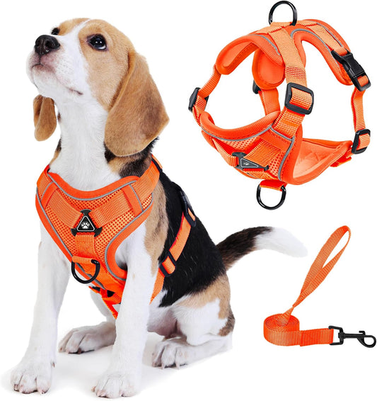 No Pull Dog Harness with Leash Set for Small Sized Dog, Reflective Adjustable No Choke Front Clip Cat Vest Harness with Breathable Mesh, Comfortable Soft Padded Pet Vest, Orange L