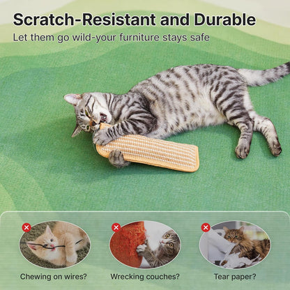 Cat Toys Pack of 2 with 6000Mg A+ Organic Catnip, Soft Sisal Material Indoor Kitten Scratching and Kicker Toys, Drives Bored Cats Crazy with Fun Interactive Chew
