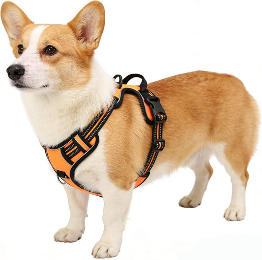 Orange No-Pull Dog Harness with 2 Leash Clips，Soft Padded Vest for Medium Dog, Adjustable Reflective Dog Vest Easy to Put on and Take Off, (Neck: 14"~20", Chest: 21"~27", Orange M)