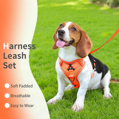 No Pull Dog Harness with Leash Set for Small Sized Dog, Reflective Adjustable No Choke Front Clip Cat Vest Harness with Breathable Mesh, Comfortable Soft Padded Pet Vest, Orange L
